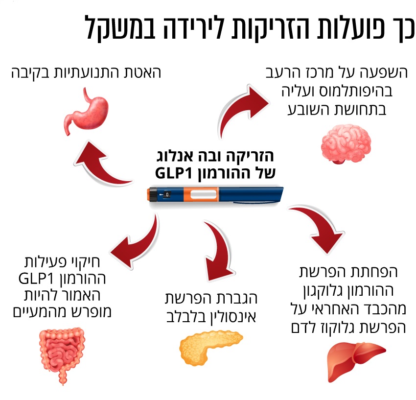 ה-FDA אישר את הזריקה לירידה במשקל – אישור צפוי בקרוב גם בישראל