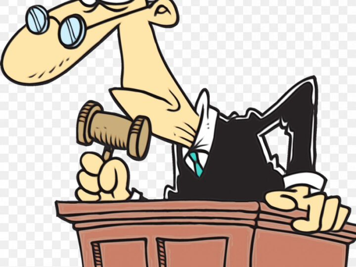 ממגננה להכרעה בערכאה.